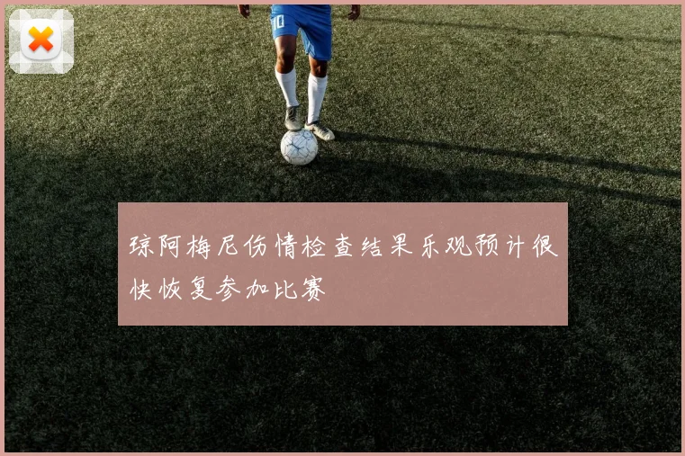 琼阿梅尼伤情检查结果乐观预计很快恢复参加比赛